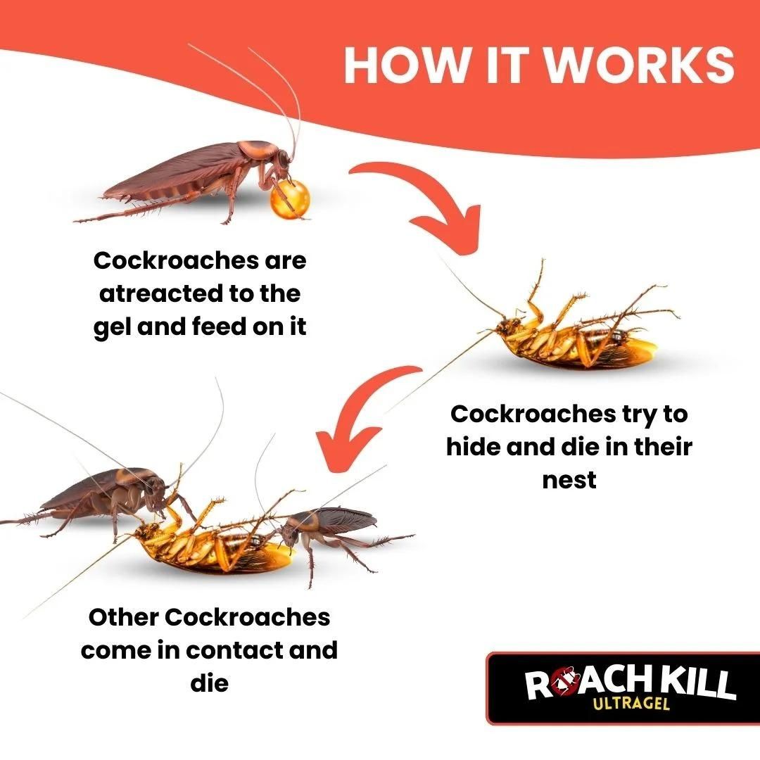 Roach Kill Ultragel (Pack of 1)
