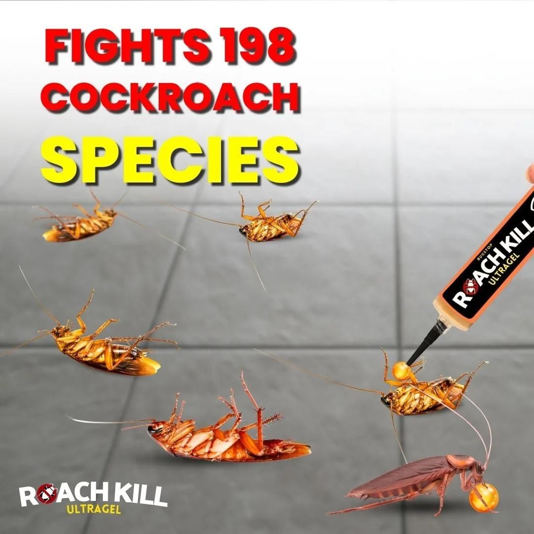 Roach Kill Ultragel (Pack of 1)