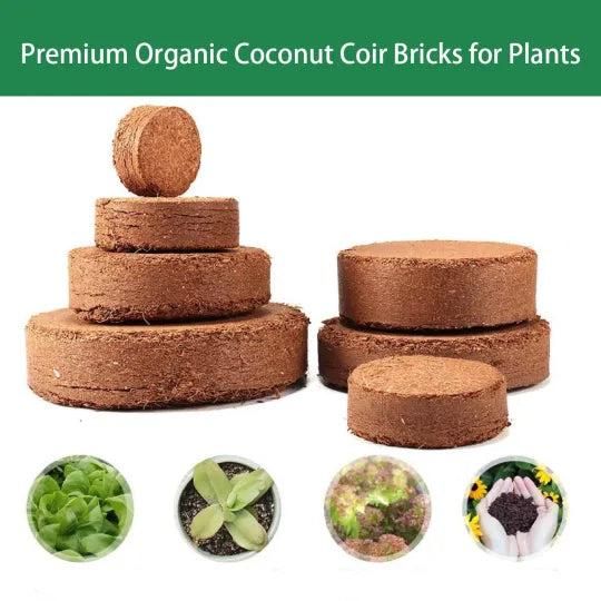 Organic Coconut Coir for Plants (Pack of 2)