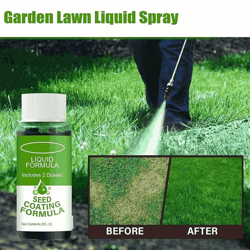 Seed Coating Formula, 60ml Green Grass Lawn Spray (Pack of 1)