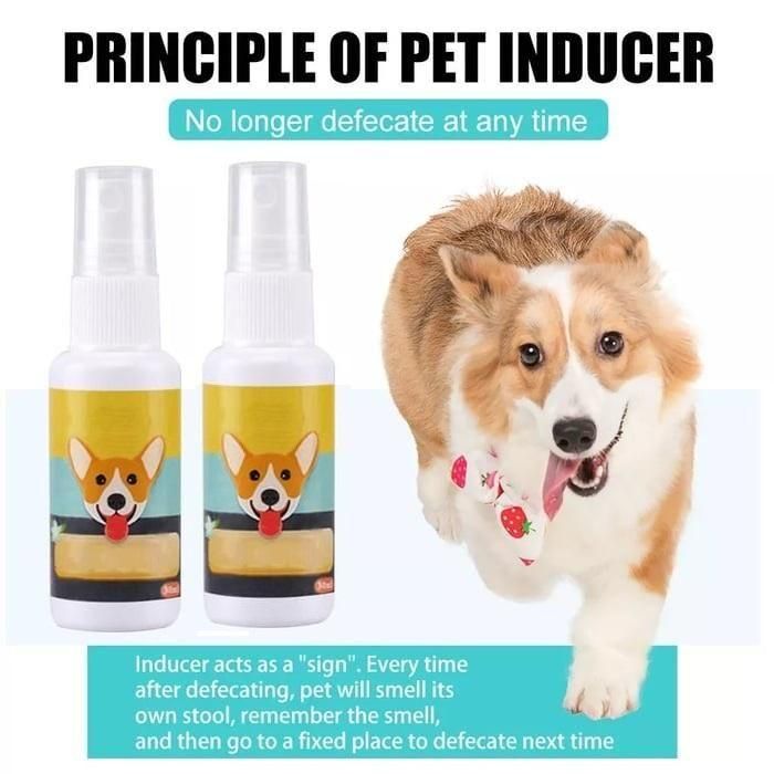 Natural Potty Training Spary for Dog & Cat (Pack of 2) 30ml Each