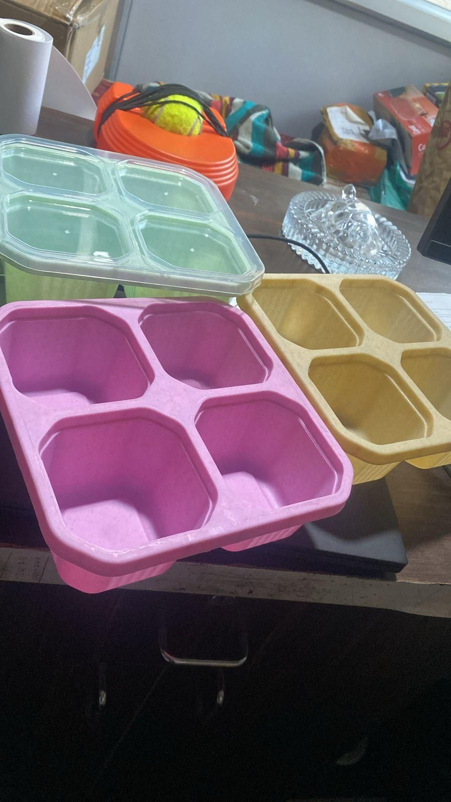 Bento Portable Snack Box Divided Food Container (Pack of 4)