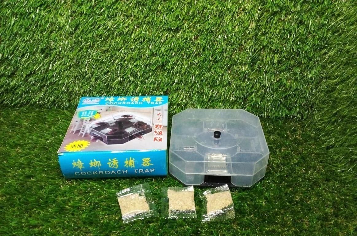 Reusable Bait Box for Cockroaches