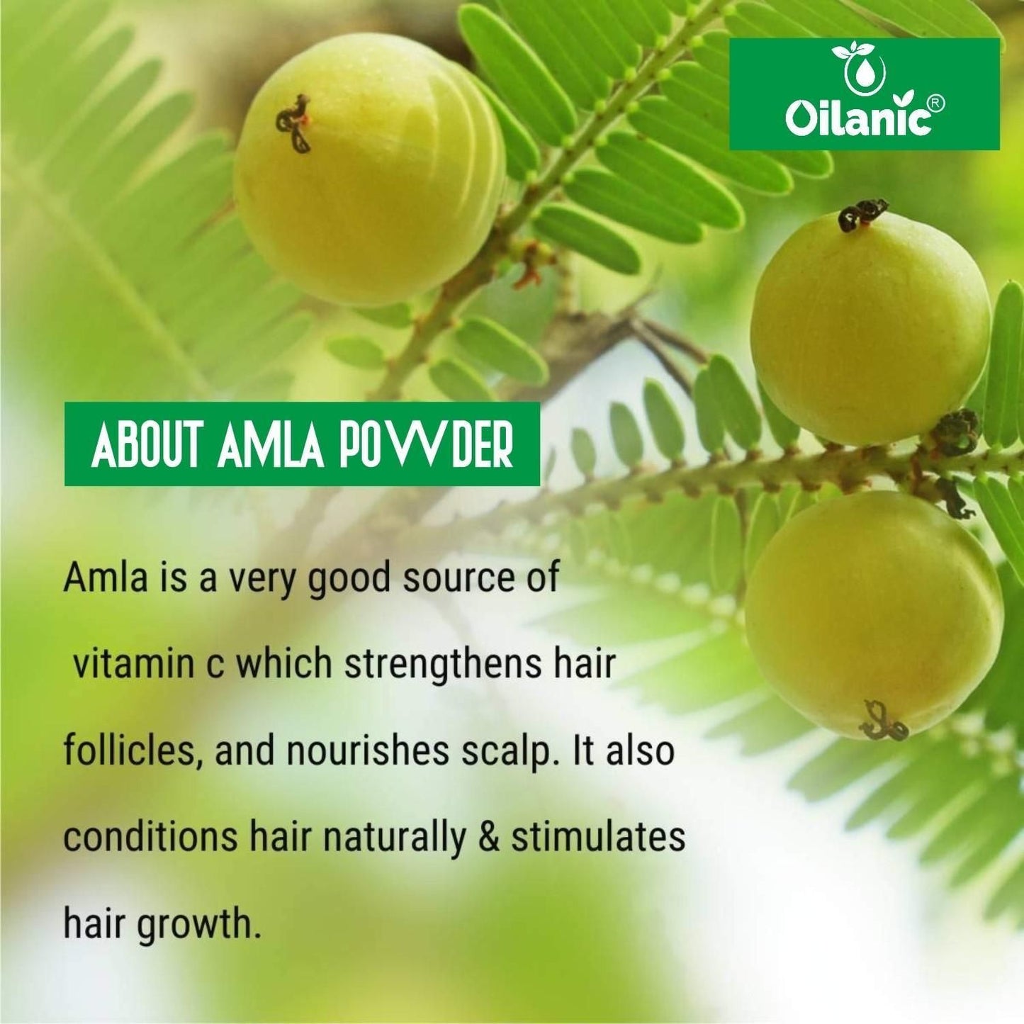 Oilanic Pure & Natural kaolin Clay & Amla Powder (Pack of 2)