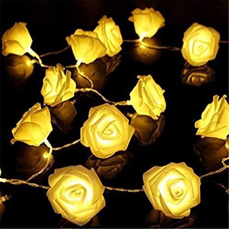 Rose Flower LED Serial String Lights - 10 Feet, 14 LED Rose Lights for Indoor and Outdoor Home Decoration (Warm White, Plug-in)