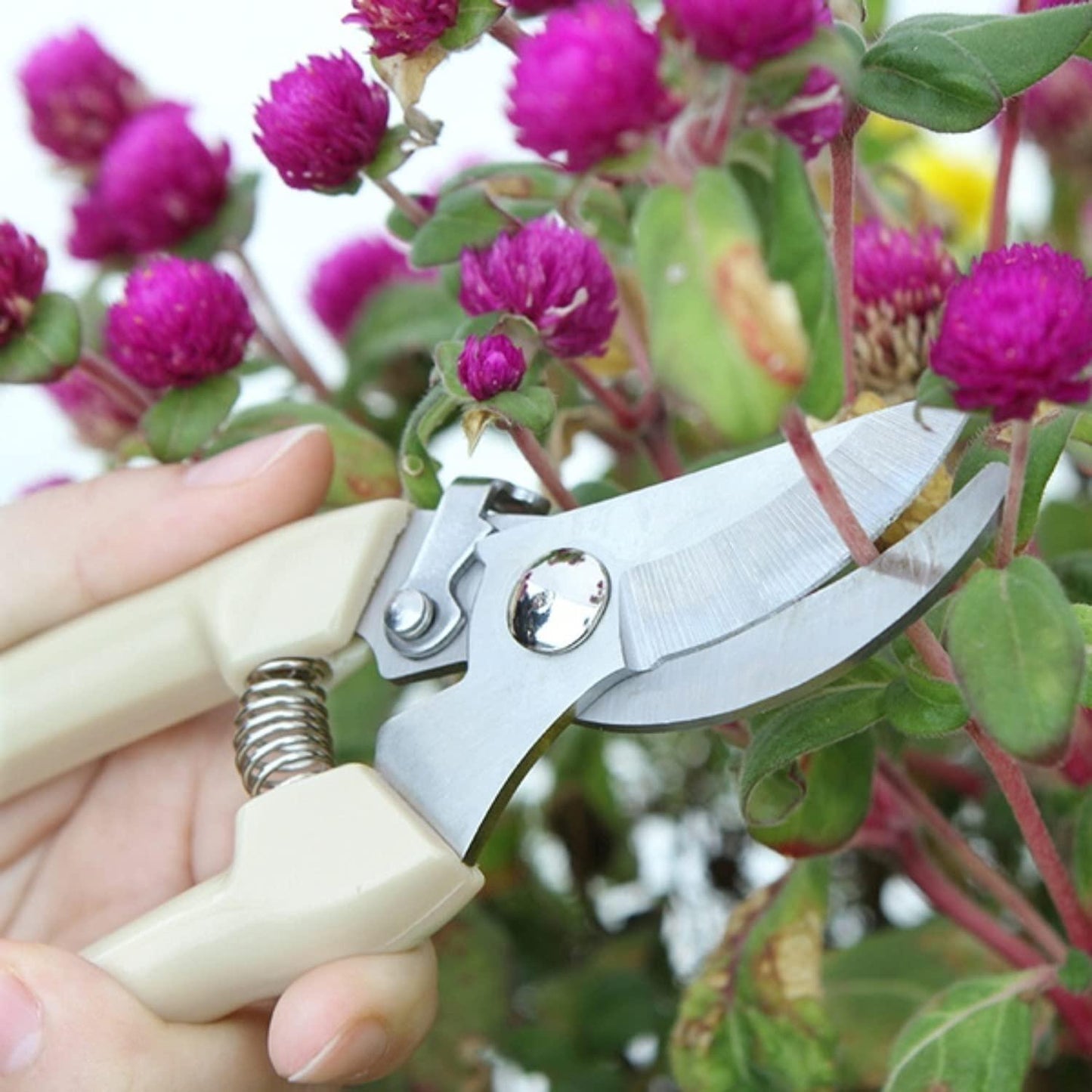 Garden Plant Branch Scissors Flower Cutting Cutter