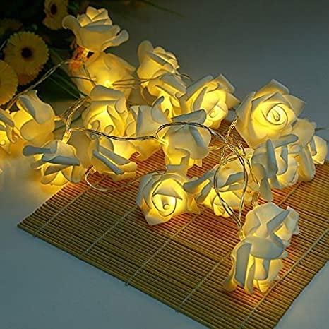 Rose Flower LED Serial String Lights - 10 Feet, 14 LED Rose Lights for Indoor and Outdoor Home Decoration (Warm White, Plug-in)