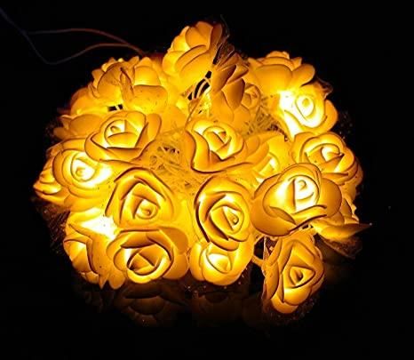 Rose Flower LED Serial String Lights - 10 Feet, 14 LED Rose Lights for Indoor and Outdoor Home Decoration (Warm White, Plug-in)