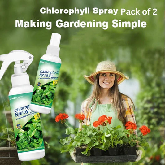 Chlorophyll Spray 100ML (Pack of 2)