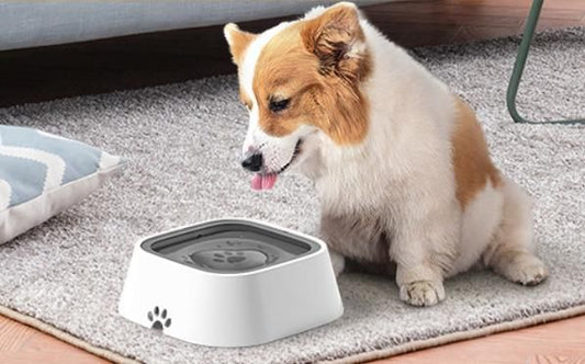 Pet Bowl Floating Anti-Overflow