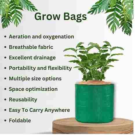 Organic Mix Varieties of 100 Pieces Seeds With 5 Pieces Grow Bag