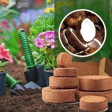 Organic Coconut Coir for Plants (Pack of 2)