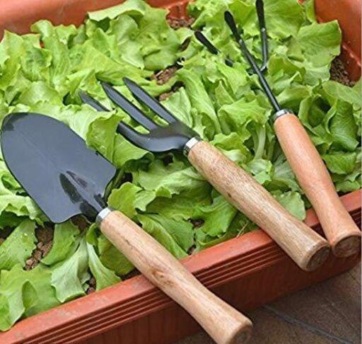 Gardening Tools kit Hand Cultivator, Small Trowel, Garden Fork (Set of 3)