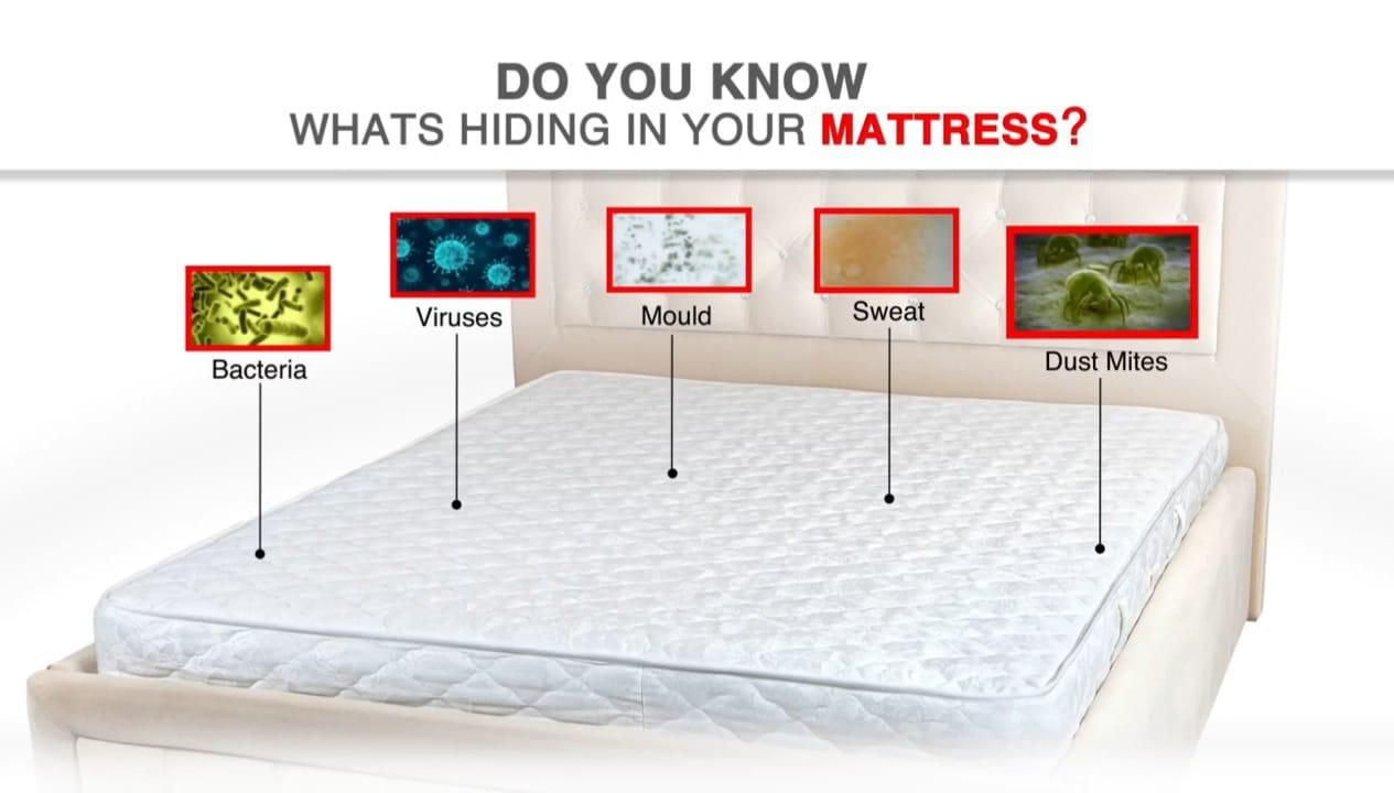 Fidato Double Bed Mattress Protector Sheet with 2 Pillow Protector
