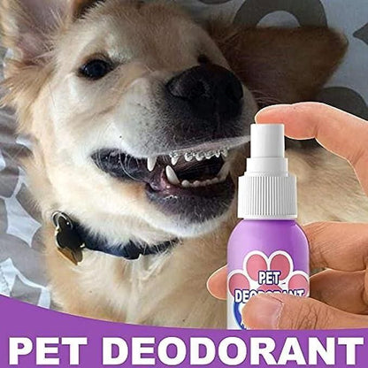 Oral Spray For Dogs & Cats